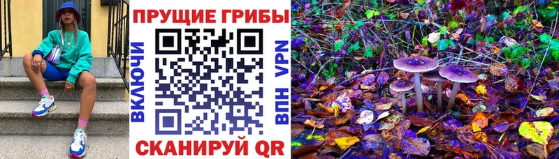Галлюциногенные грибы мицелий  гидра рабочий сайт  Пестово 